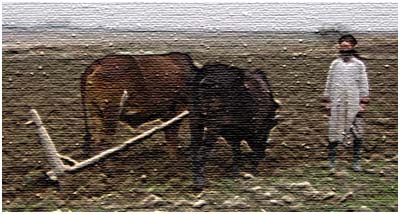 STOP ! ! What are you trying to do, get us all killed !